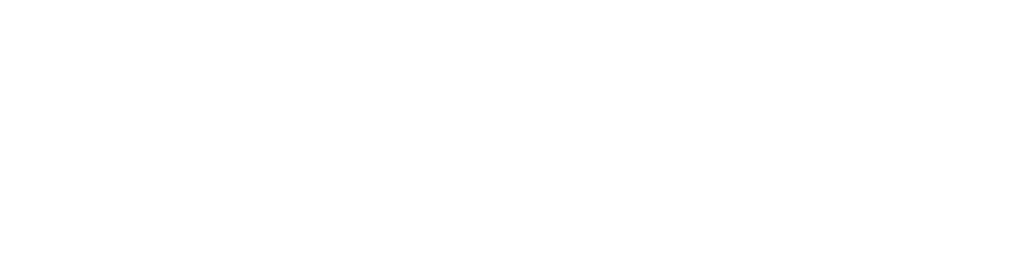 Logo Festejou